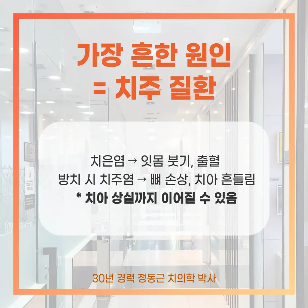 잇몸 피 원인 치주질환