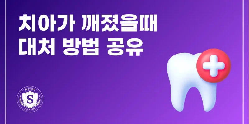 치아가 깨졌을때, 대처 방법 공유!