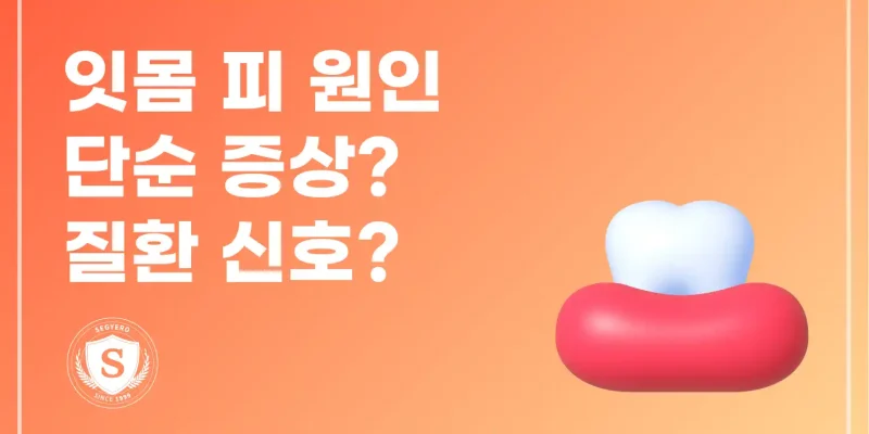 잇몸 피 원인 단순 증상? 질환 신호?