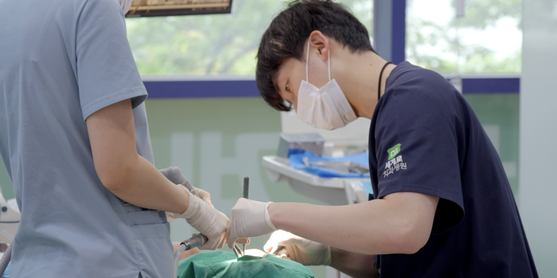 재송동 치과 빠른 치료를 원한다면?